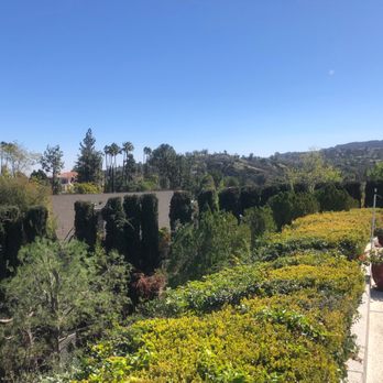 Green Leaf Zone - Tree Services Near Me - Sherman Oaks, California