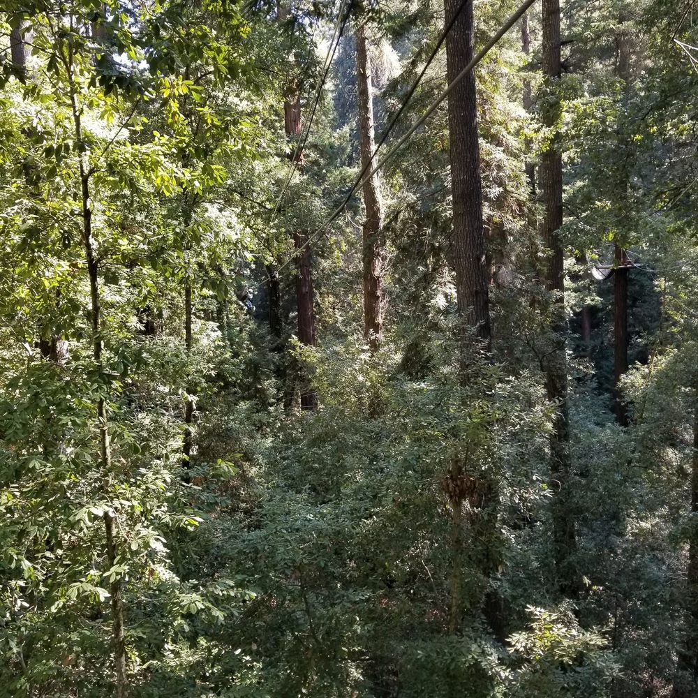 Mount Hermon Adventures - Challenge Courses Near Me - Mount Hermon, California Mount Hermon Adventures - Challenge Courses Near Me - Mount Hermon, California