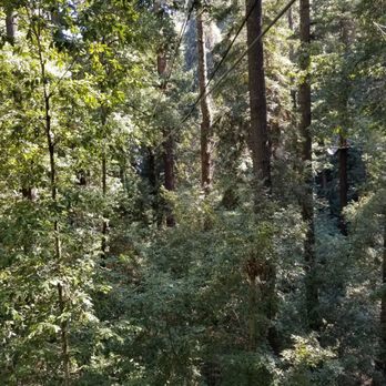 Mount Hermon Adventures - Challenge Courses Near Me - Mount Hermon, California