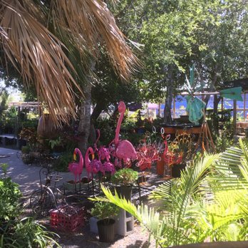 A Garden Center - Nurseries & Gardening Near Me - McAllen, Texas A Garden Center - Nurseries & Gardening Near Me - McAllen, Texas