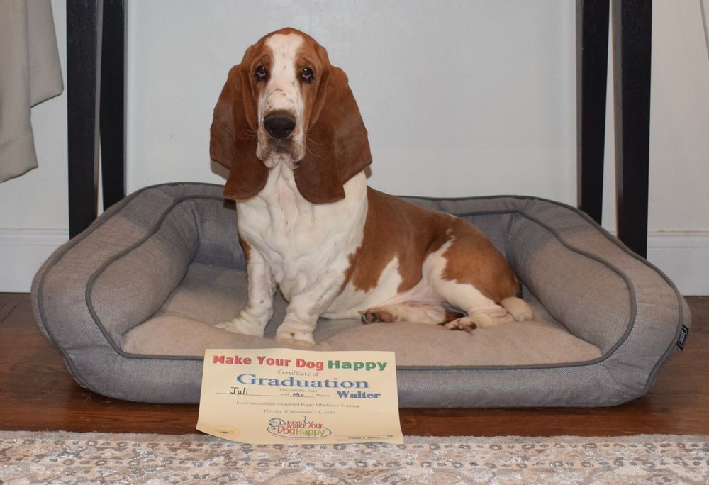 MAKE YOUR DOG HAPPY Updated October 2024 47 Photos & 11 Reviews