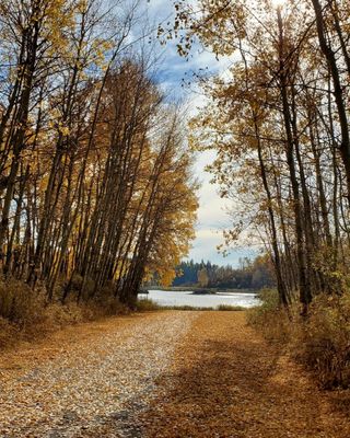 Elk Island National Park by null