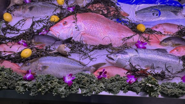 Giuseppe's Market at Samuels Seafood Co. by null