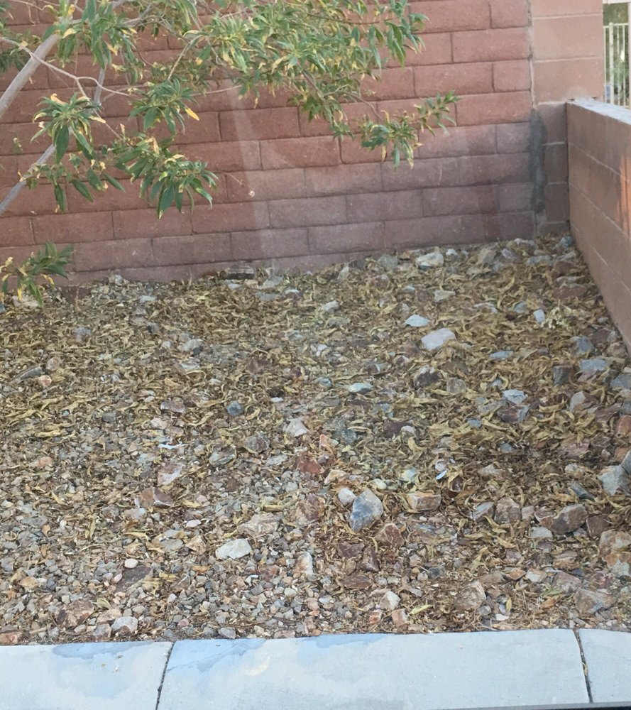 KEY WEST LAWN SERVICE Las Vegas, Nevada Lawn Services Phone