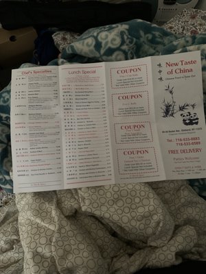 Taste of China by null