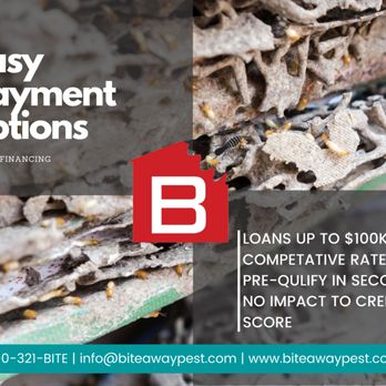 Bite Away Termite & Pest Control - Pest Control Near Me - Ramona, California