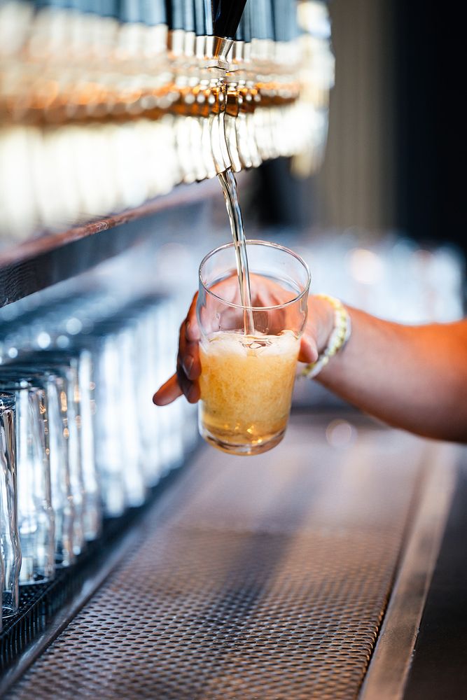 Standard Deviant Brewing