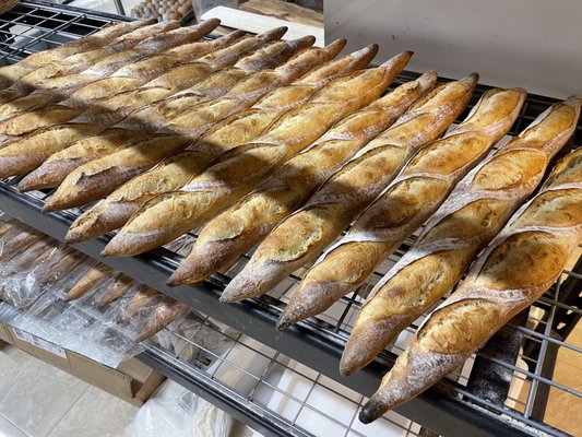 Bella's Bake Shop by null