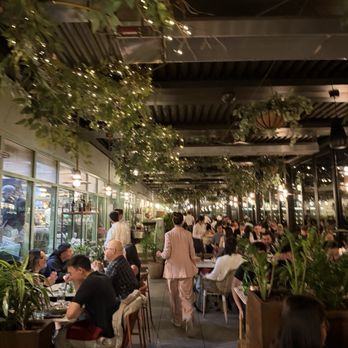 Terra - Italian Near Me - Santa Clara, California