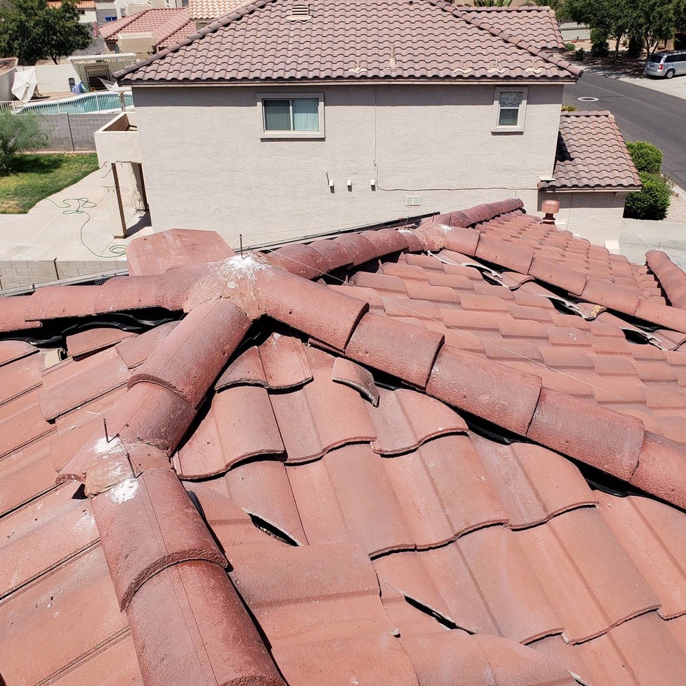 Pigeon Problem Solvers - The cleanup completed - Wildlife Control Near Me - Mesa, Arizona