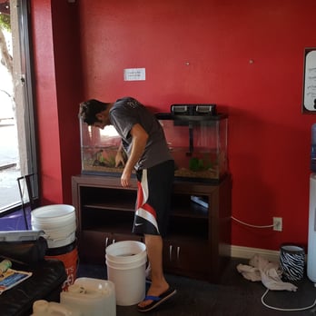 My Aquarium - Jaren working hard to get the new tank set up - Aquarium Services Near Me My Aquarium - Jaren working hard to get the new tank set up - Aquarium Services Near Me