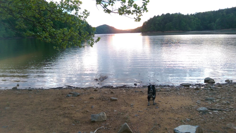 Jacobs Creek Recreation Area Campground Campgrounds 300 Jacobs