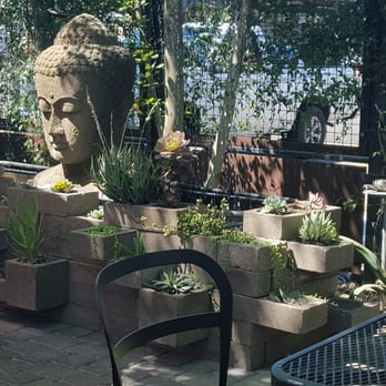 32 Shea - One of the features of their great patio (dog-friendly too!). - Coffee & Tea Near Me - Phoenix, Arizona