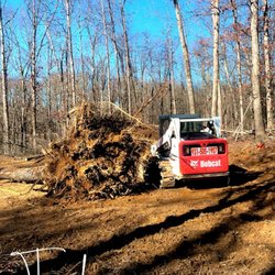 Davidson Dirt Worx - Stump removed
