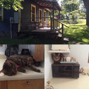 Clove Cottages - So does Lola - Vacation Rentals Near Me - High Falls, New York Clove Cottages - So does Lola - Vacation Rentals Near Me - High Falls, New York