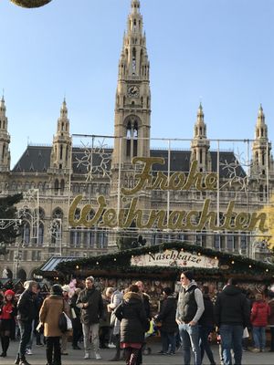 Vienna City Hall by null