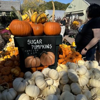 The Farmer's Daughter - Nurseries & Gardening Near Me - Wakefield, Rhode Island
