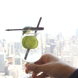 Photo of The Signature Room at the 95th - Chicago, IL, United States