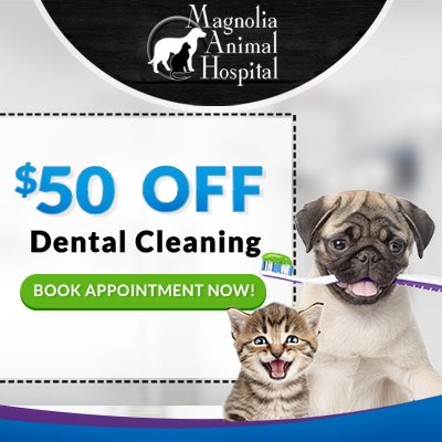 call magnolia animal hospital