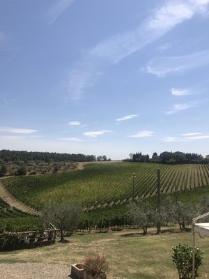 Fattoria la Loggia by null