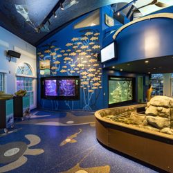 Roundhouse Aquarium and Teaching Center