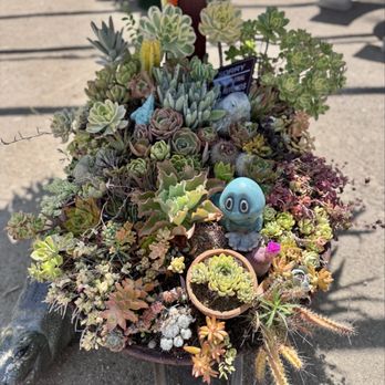 Garden Vibes - Nurseries & Gardening Near Me - Menifee, California