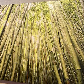 Hana Coast Gallery - Bamboo Forest in the Morning - Art Galleries Near Me - Hana, Hawaii Hana Coast Gallery - Bamboo Forest in the Morning - Art Galleries Near Me - Hana, Hawaii