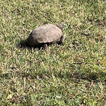 Jacksonville-Baldwin Rail-Trail - Hiking Near Me - Jacksonville, Florida Jacksonville-Baldwin Rail-Trail - Hiking Near Me - Jacksonville, Florida