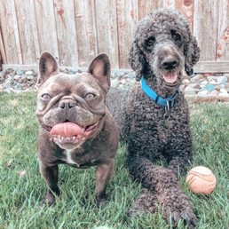 Diesel and Cabby Diesel and Cabby