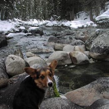 Jerry Johnson Hot Springs - Gunner At Springs - Hiking Near Me - Elk City, Idaho