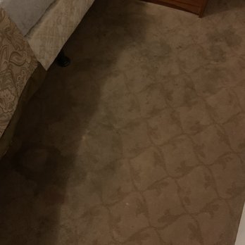 Beachwood Resort - Stained and smelly carpet - Resorts Near Me - Copalis Beach, Washington
