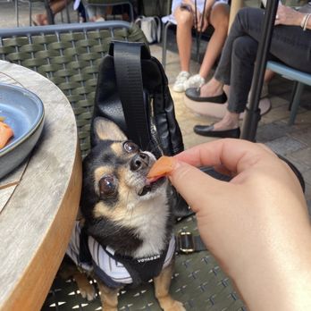 Daily Gather - Romeo enjoying his favorite, smoked salmon! - Breakfast & Brunch Near Me - Houston, Texas Daily Gather - Romeo enjoying his favorite, smoked salmon! - Breakfast & Brunch Near Me - Houston, Texas