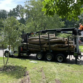 1. Leo's Tree Service