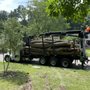 Photo of Leo's Tree Service
