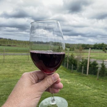 Fox Hollow Vineyards - View from outdoor area. - Wine Tasting Room Near Me - Holmdel, New Jersey