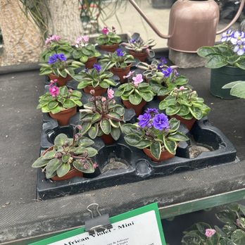 Flower World - Nurseries & Gardening Near Me - Snohomish, Washington