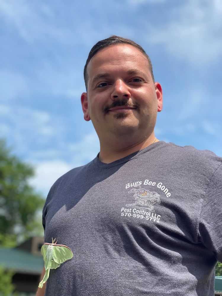 BUGS BEE GONE PEST CONTROL Updated August 2024 WilkesBarre