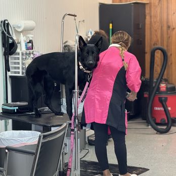 Here Boy - Holly getting her nails clipped - Pet Groomers Near Me - Toms River, New Jersey Here Boy - Holly getting her nails clipped - Pet Groomers Near Me - Toms River, New Jersey