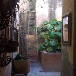 La Carreta Rústica - Traspatio de la casa