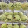 Photo of Westwood Sporting Goods