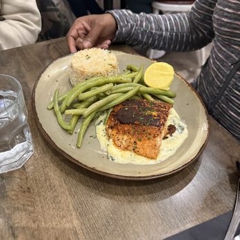 Southerleigh Haute South - Salmon - Southern Near Me - San Antonio, Texas Southerleigh Haute South - Salmon - Southern Near Me - San Antonio, Texas