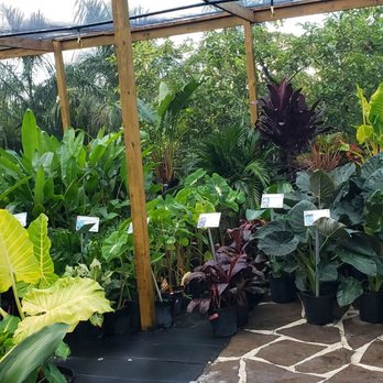 Florida Nursery Mart - Landscaping Near Me - Davie, Florida Florida Nursery Mart - Landscaping Near Me - Davie, Florida