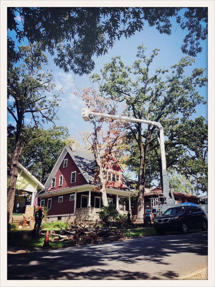 K3 Tree Care - tree service in Little Rock, AR