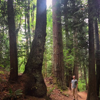 Forest Park - Parks Near Me - Portland, Oregon