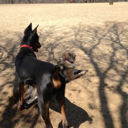 Cochran Hill Dog Run