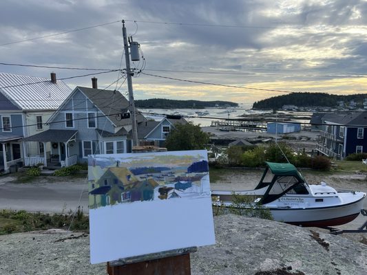 Fin and Fern by null