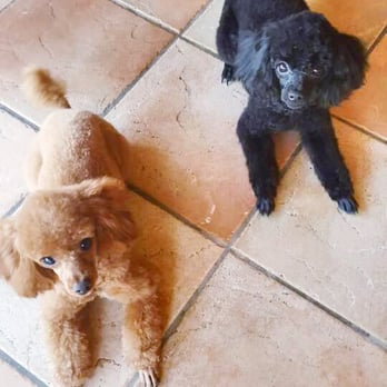 JW Kennels - Pet Groomers Near Me - Palmdale, California JW Kennels - Pet Groomers Near Me - Palmdale, California