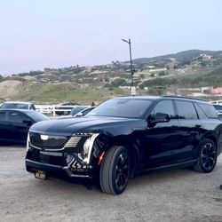 White Dahlia - Our ride with White Dahlia