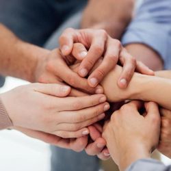 Olive Branch Psychotherapy