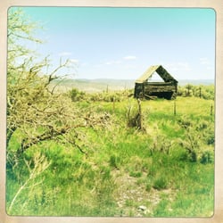 The Lodge at Spruce Creek - Another old homestead or barn